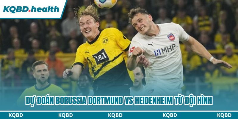 Dự đoán Borussia Dortmund vs Heidenheim từ đội hình
