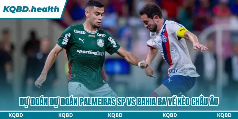 Phân tích dự đoán Palmeiras SP vs Bahia BA qua kèo châu Âu